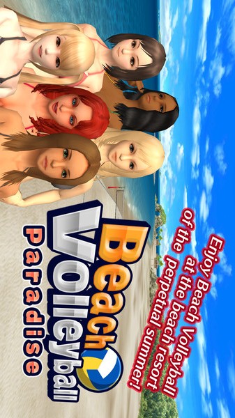 天堂沙滩：拍球与比基尼的图册