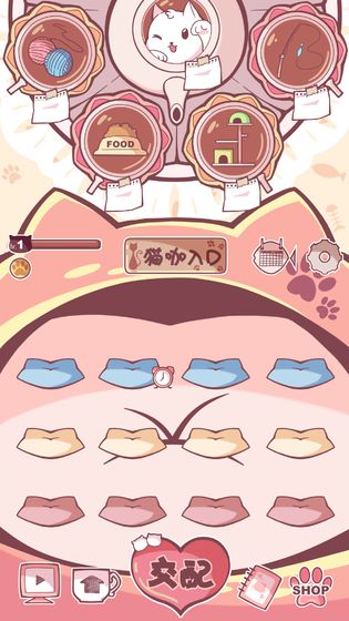 云撸猫咪的图册