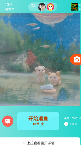 小猫逗鱼的图册