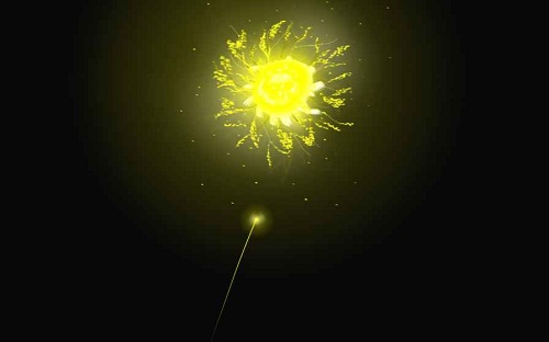 生命之潮的图册