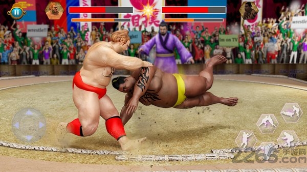 相扑明星摔跤2018无限生命版的图册