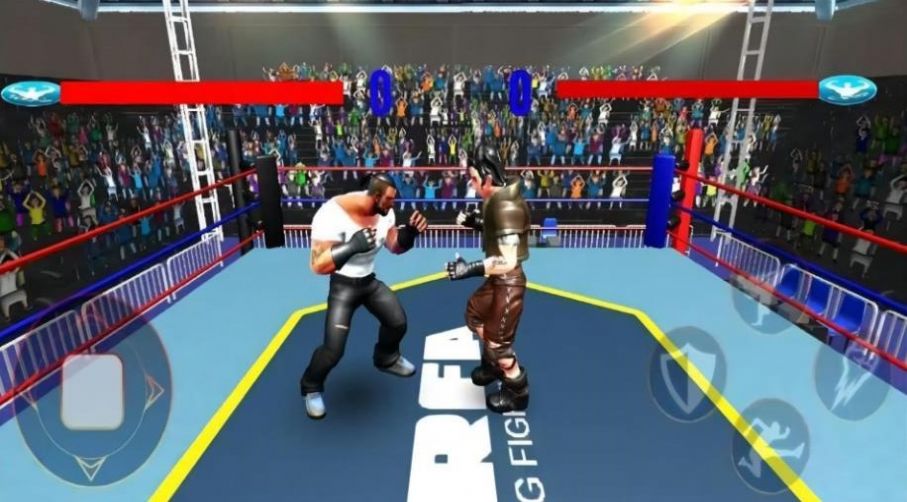 格斗竞技赛场的图册