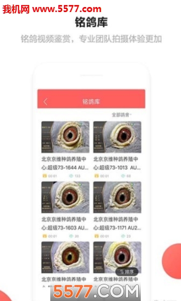 搜鸽网手机版的图册