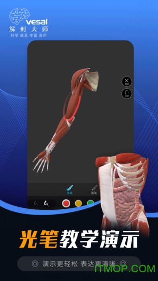 解剖大师最新版的图册