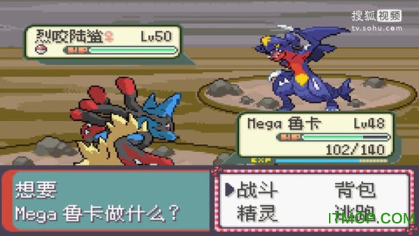 口袋妖怪永恒之沫破解版的图册