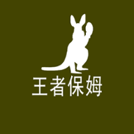 王者保姆软件(游戏代练)