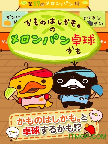 呆头鸭嘴兽桌球手机版的图册