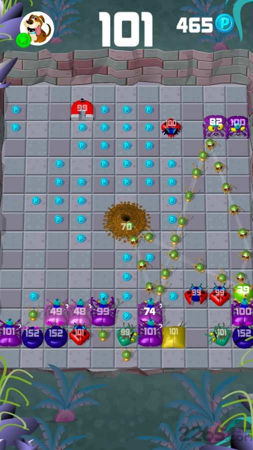 蚂蚁大战虫子手机游戏的图册