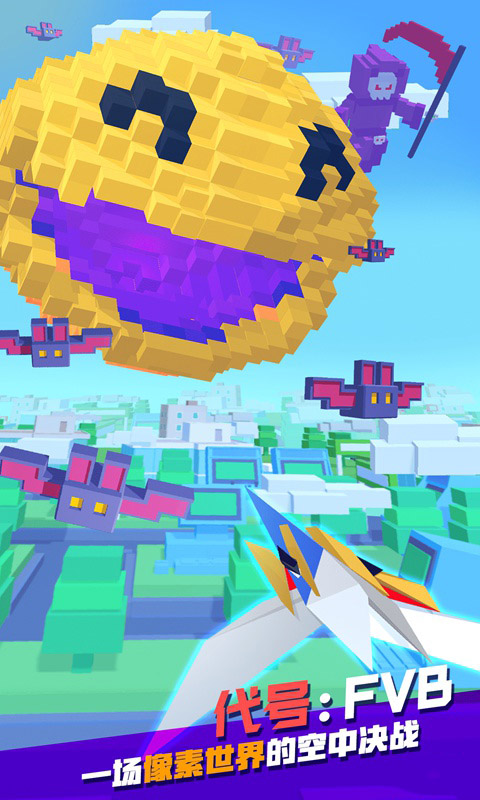 代号：FVB的图册