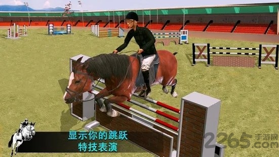 跳马模拟器2020游戏的图册