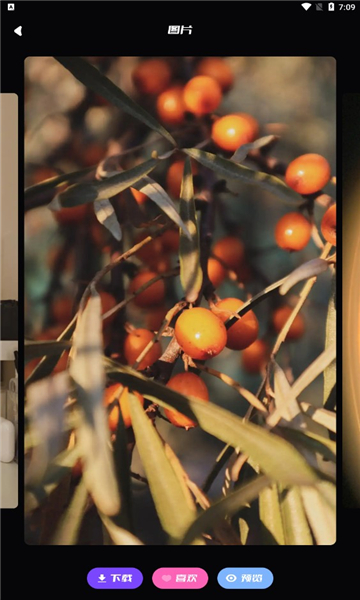 咸鱼壁纸之王安卓版的图册