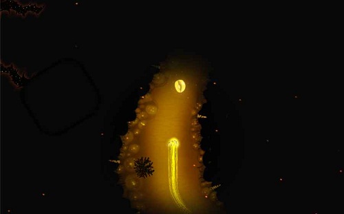 生命之潮的图册