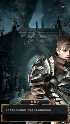 觉醒之刃的图册