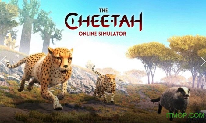 终极猎豹模拟器最新版的图册