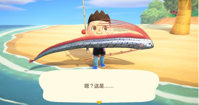 动物森友会的图册