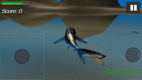 鲨鱼模拟器3D内购破解版的图册