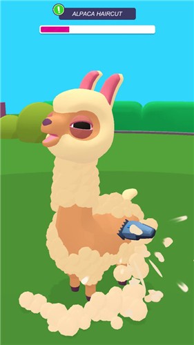 快乐动物园的图册