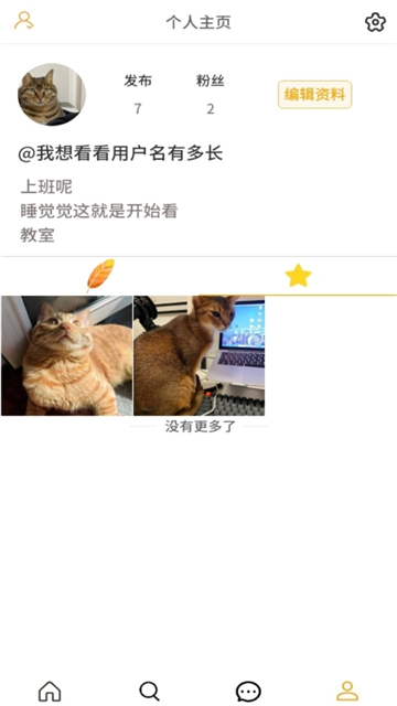 羽毛图片社区的图册