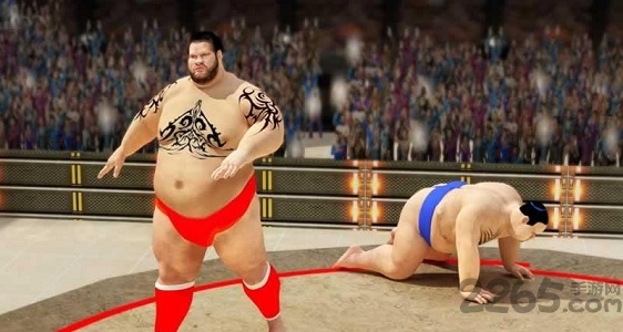 相扑格斗内购破解版的图册