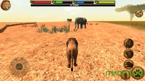 终极狮王模拟器最新版的图册