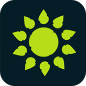 无尽旷野中文版