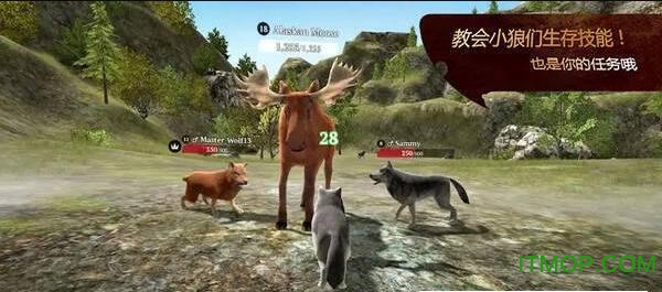 狼模拟求生的图册