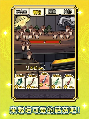 蘑菇花园的图册