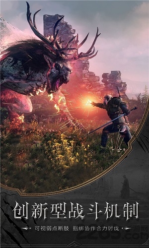 幻影无双破解版的图册