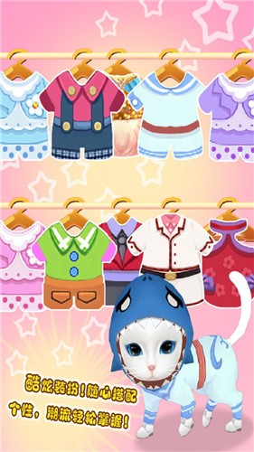 晴天小猫邮箱版的图册