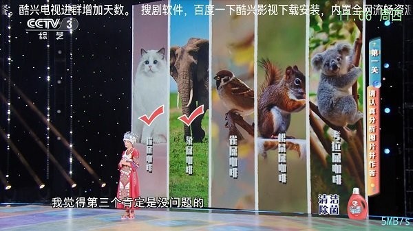 酷兴电视免授权码版的图册