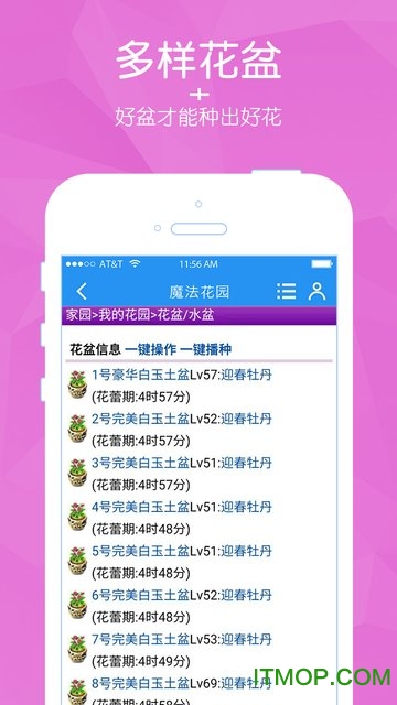 3344qq魔法花园的图册