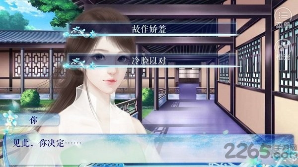 修真记星玄橙光破解版的图册