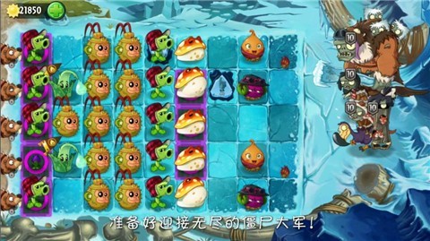 植物大战僵尸2六一糖罐的图册