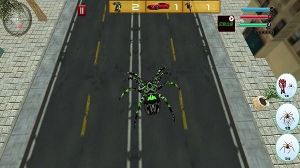 变形蜘蛛的图册