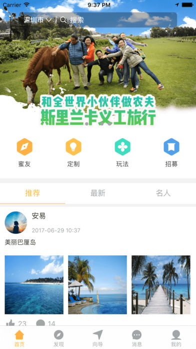 蜜蜂向导的图册