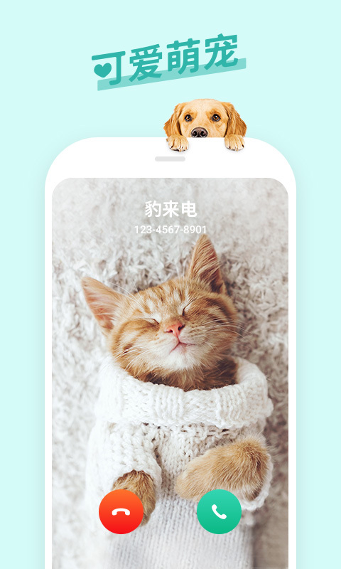 豹来电极速版的图册