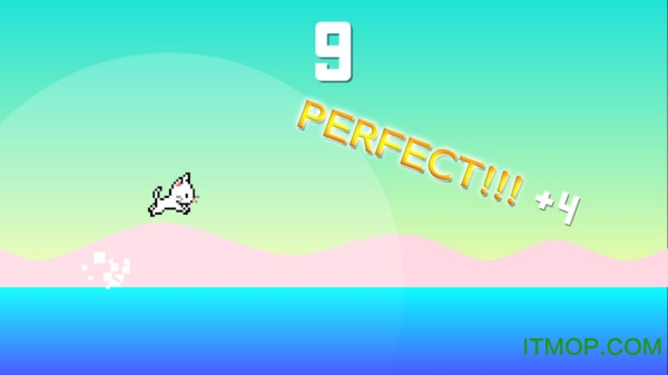 猫咪蜻蜓点水官方版的图册