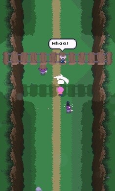 后置之地的图册