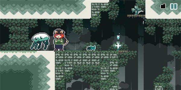 无名的貓的图册