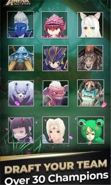 竞技全明星自走棋的图册