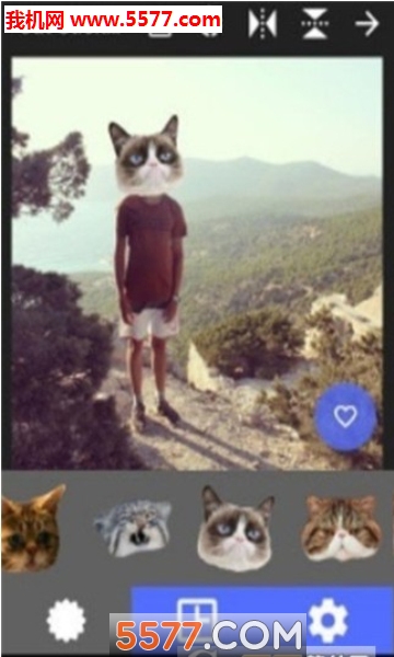 CatStickers照片猫头贴纸安卓版的图册
