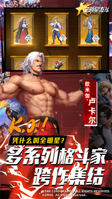 全明星激斗华为版的图册