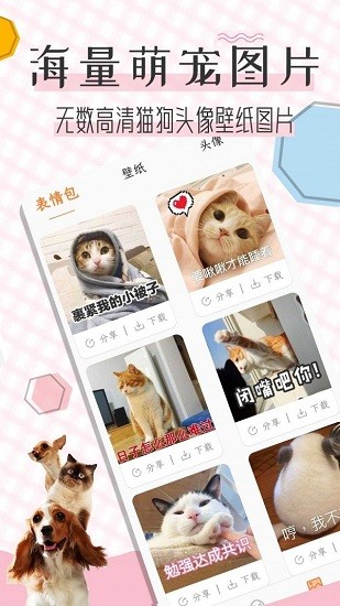猫语翻译宝的图册