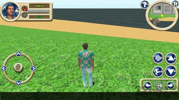 惊天狂飙游戏的图册