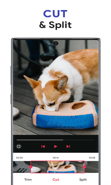 VMake专业版解锁版的图册