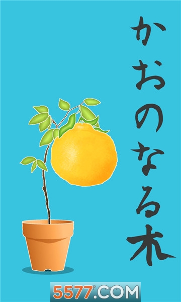 奇怪的树安卓版的图册