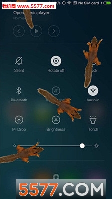 松鼠恶作剧(松鼠在屏幕上爬手机版)的图册
