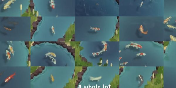 锦鲤农场的图册