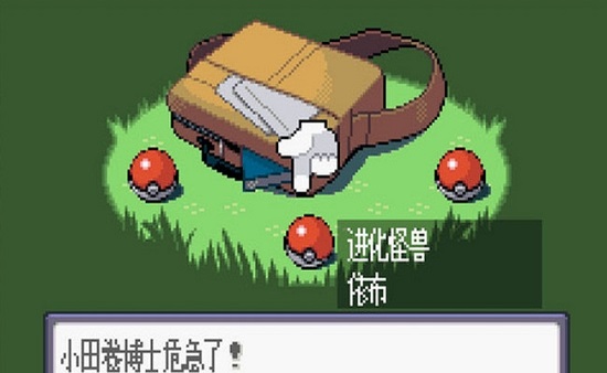 口袋妖怪冠军的旅程mega的图册