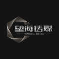 望海传媒项目安卓版